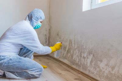 Attic Mold Removal in Boca Raton, FL