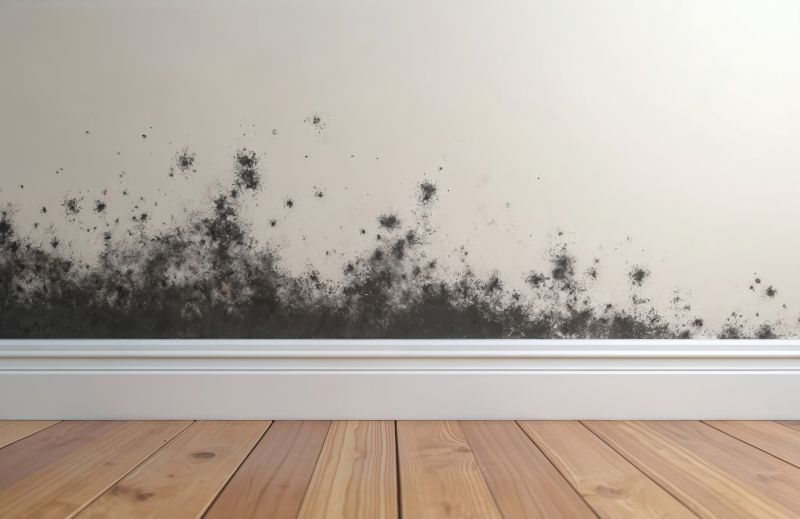 Basement Mold Remediation in Fort Worth, TX