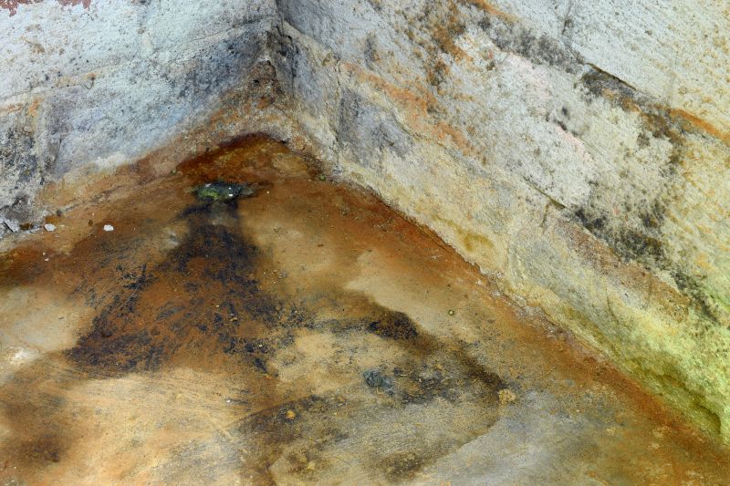 Basement Mold Removal in Bergen County, NJ