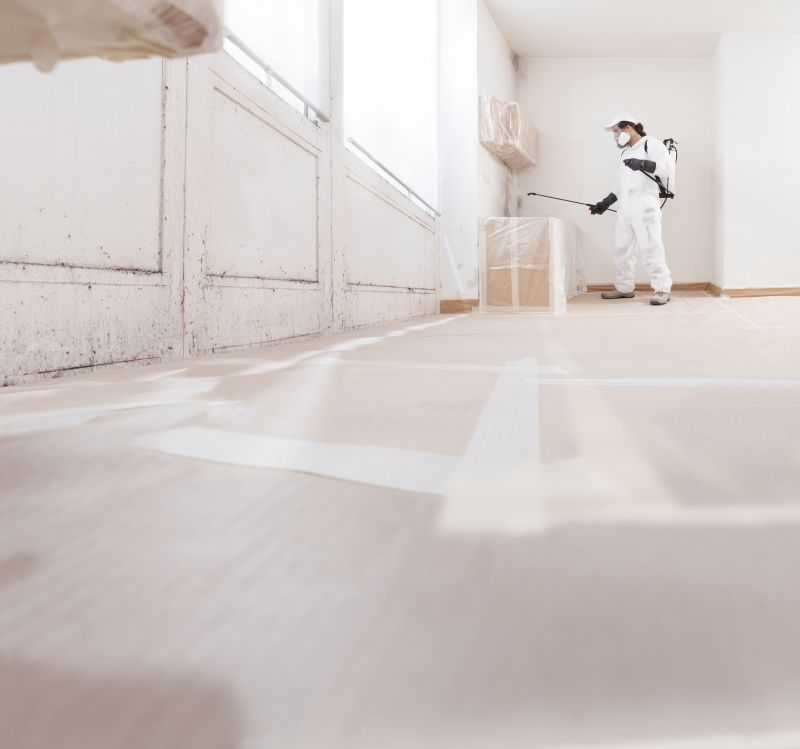 Black Mold Remediation in Broward County, FL