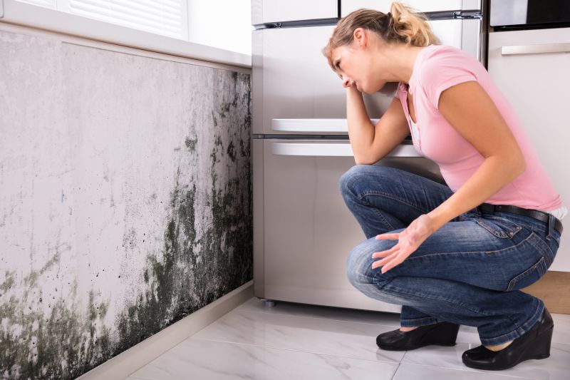 Black Mold Removal in Pompano Beach, FL