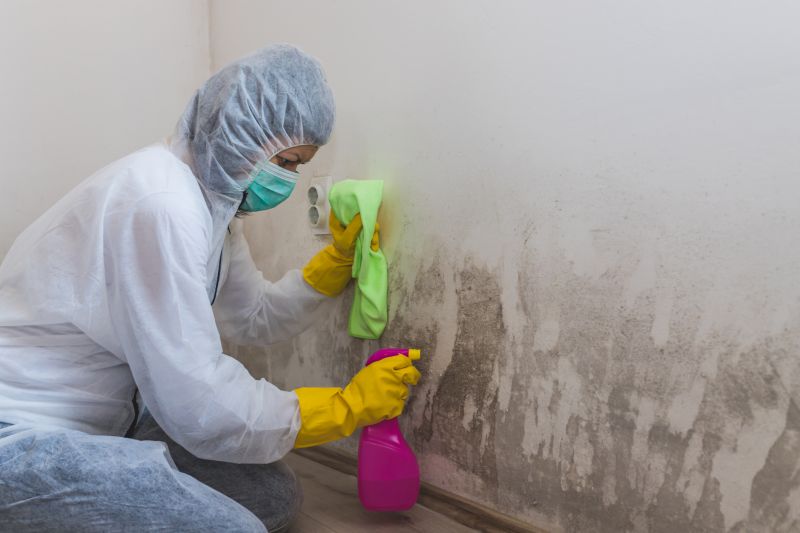 Crawl Space Mold Removal in Bergen County, NJ