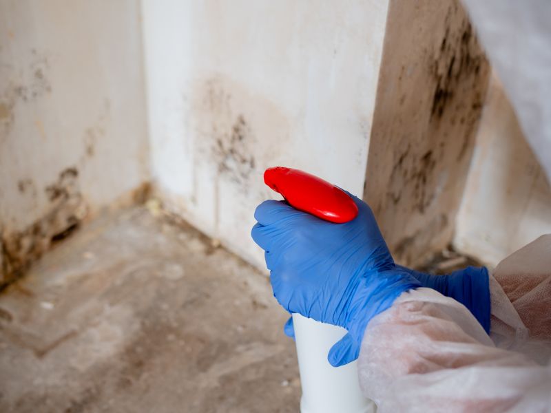 Garage Mold Remediation in Bergen County, NJ