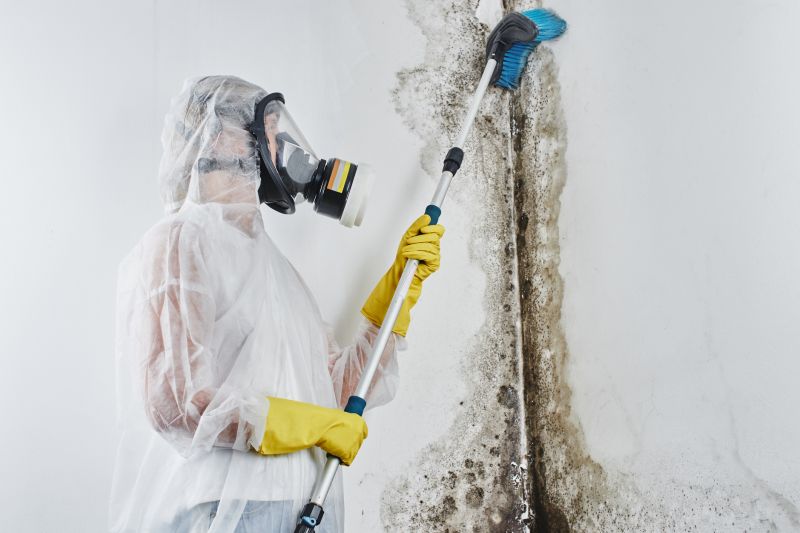 Mold Cleanup Service in Jupiter, FL