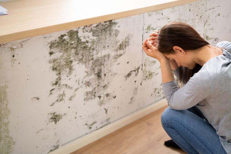 Mold Control in Essex County, NJ