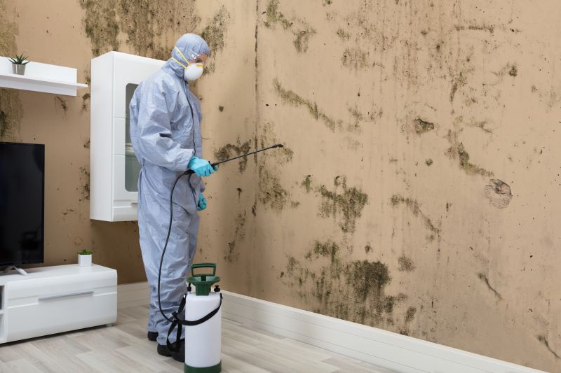 Mold Detection in Frisco, TX