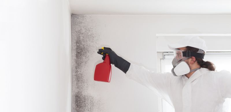 Mold Mitigation Service in Jupiter, FL