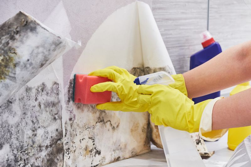 Mold Remediation Service in Fort Lauderdale, FL