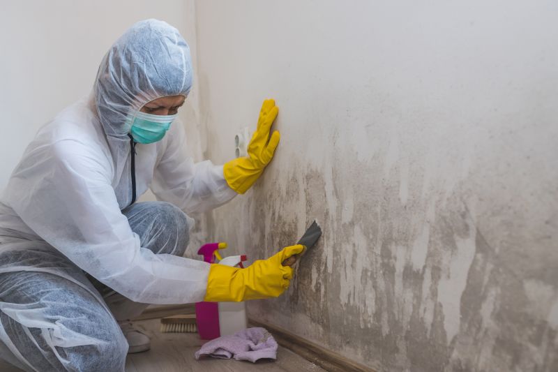 Mold Restoration in Essex County, NJ