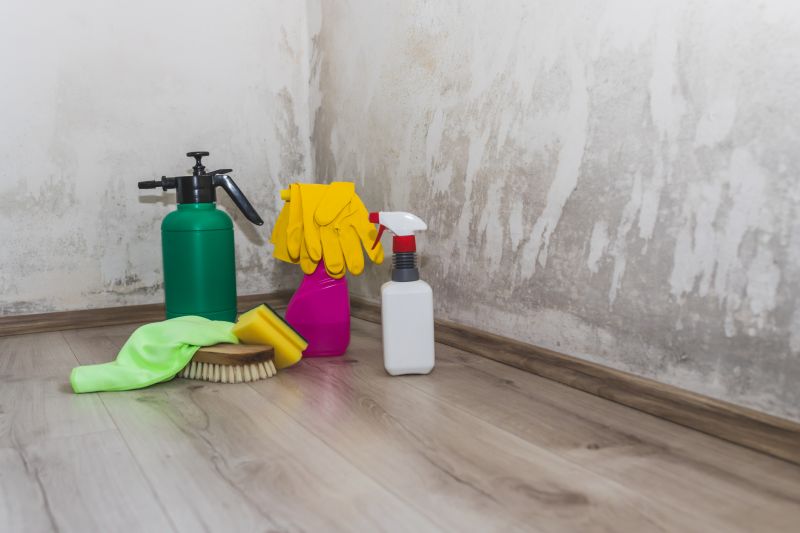 Attic Mold Remediation in Jupiter, FL