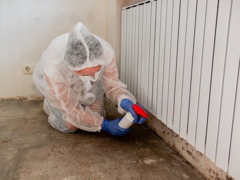 Attic Mold Removal in Essex County, NJ