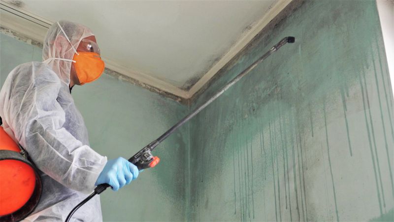 Attic Mold Removal in West Palm Beach, FL
