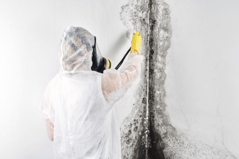 Attic Mold Removal in Jupiter, FL