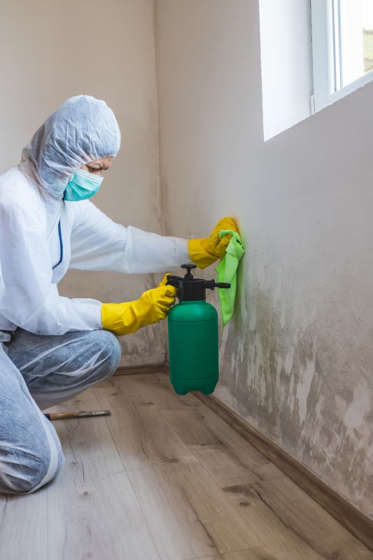 Basement Mold Remediation in Jupiter, FL