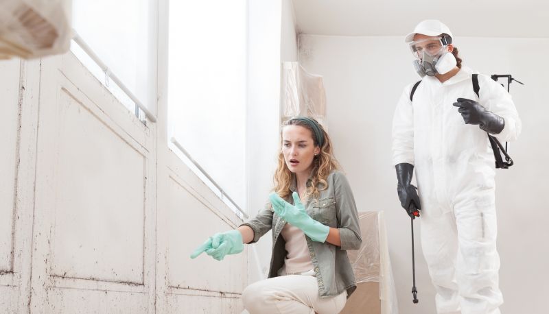 Basement Mold Remediation in Broward County, FL