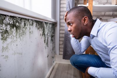 Mold Control in Rockwall, TX
